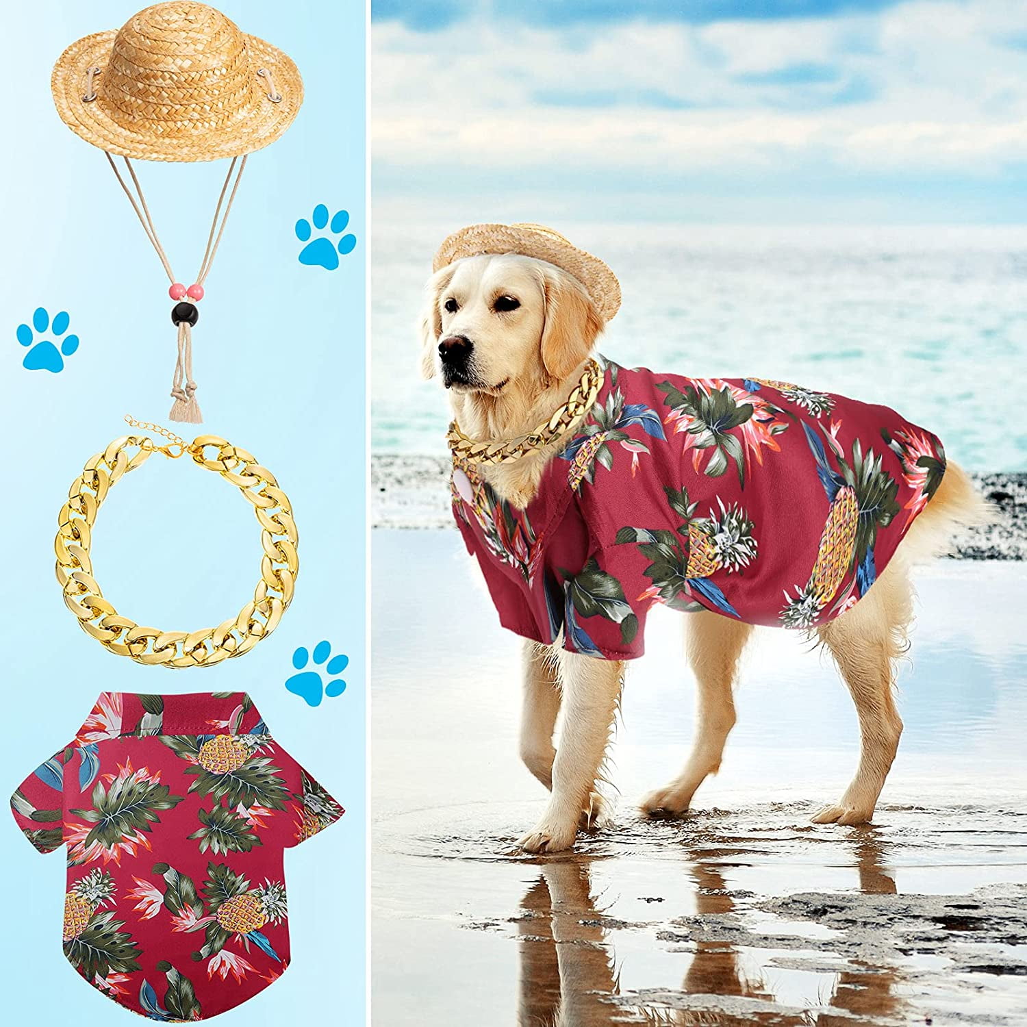 Dog beach outfit 2025