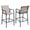 Espresso, variant on Crestlive Outdoor Metal Bar Stools Chairs (Set of 2) in Gray Finish