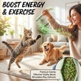 thumbnail image 6 of GREMBEB Cat Toys Kitten Catnip Chew Indoor Cats Cigarette-Shape Toy Gifts Organic Catnip Teething Interactive Kitty Kicker Self Play, 6 of 7