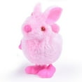 thumbnail image 6 of Mouliraty Pluh Bunny Toys Infant Child Stuffed Toys Hopping Wind Up Easter Gift, 6 of 9