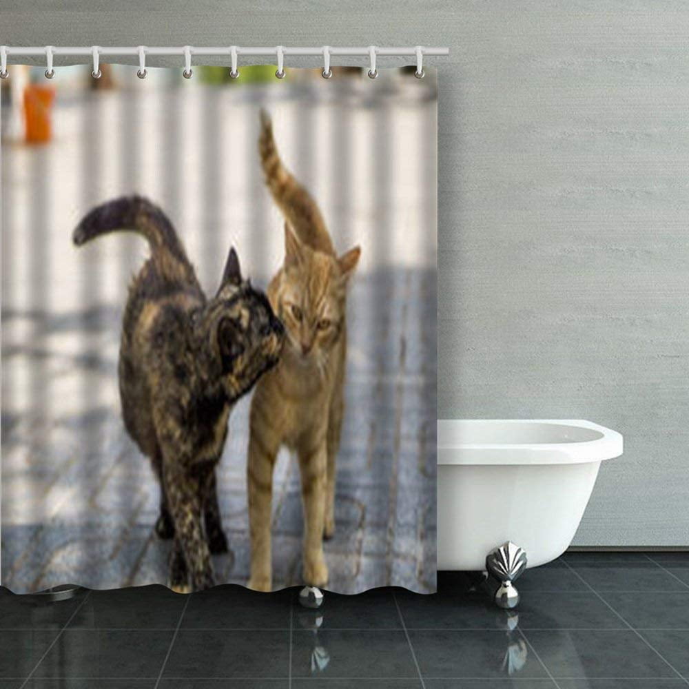 BSDHOME Two Cats Kissing Shower Curtains Bathroom Curtain 60x72 Inch Walmart Canada