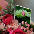 thumbnail image 3 of 3drose, Lotus Pond in Humble Administrators Garden, Suzhou, China, 1 Greeting Card with Envelope, 3 of 6