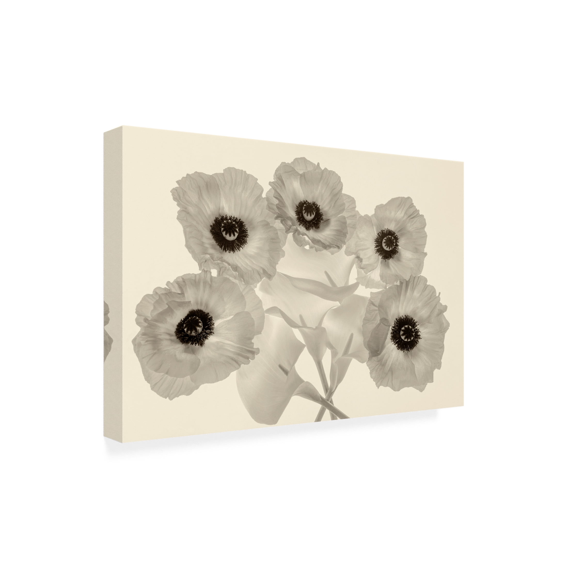 Canvas Wall Art - Dennis Frates 'Poppies And Calla Lillies' Wall Art for Living Room, Bedroom, or Office Décor by Trademark Fine Art - 47 x 30 Inches