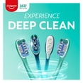 thumbnail image 2 of Cepillo de dientes Colgate 360 Medium Bristles, paquete de 4, 2 of 9