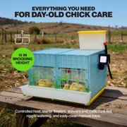 Hatching Time Chick Brooder - 2 Section H:15 (Power-Washable, Durable, ABS Plastic) | Ciimuka