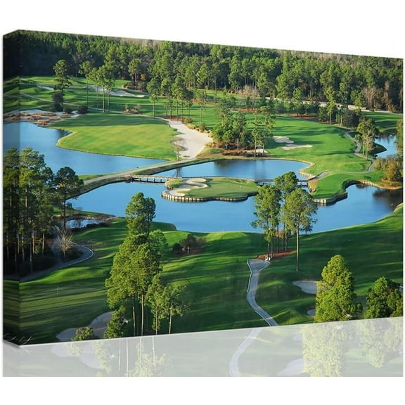 VELVET Kg's North Golf Course Wall Art for Livg Room Bedroom Bathroom Home Decorations Myrtle Beach National Club Picture Canvas Prts Modern Artwork Ready to Hang 14x11inch Framed