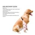 thumbnail image 3 of Dog Elbow Sleeves, Breathable Mesh Fabric Pet Leg Braces Soft and Elastic Fabric Dog Elbow Protectors Reduce Pain and Inflammation Pet Recovery Sleeves, 3 of 8