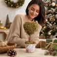 thumbnail image 5 of Fmbmuo Christmas Decor Creative Mini Tree Heart Shaped Desktop Ornament Festive Potted Decor for Desk and Shelf Ornaments,Green, 5 of 5