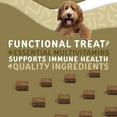 thumbnail image 3 of waggedy Daily Essentials Adult Chews, Dog Multivitamin & Immune System Support (2 Packs, 60 Chews Each), 3 of 7