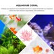 thumbnail image 5 of Adorno de decoración para paisajismo del tanque de peces, Coral de simulación de resina, 1 ud., 5 of 7