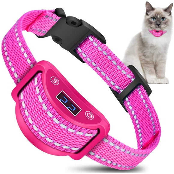 Cat Shock Collar