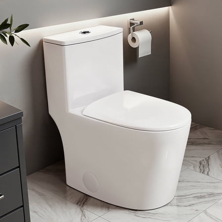 WANSID Modern One Piece Elongated Toilet with Soft Close Seat and Powerful Dual-Flush Siphon,Comfort Height,Stain Resistance and Anti-Yellowing