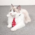 thumbnail image 4 of Collier pour Chien Boucle Réglable Mode Cravate Universelle pour Chien Collier pour Chat, 4 of 4