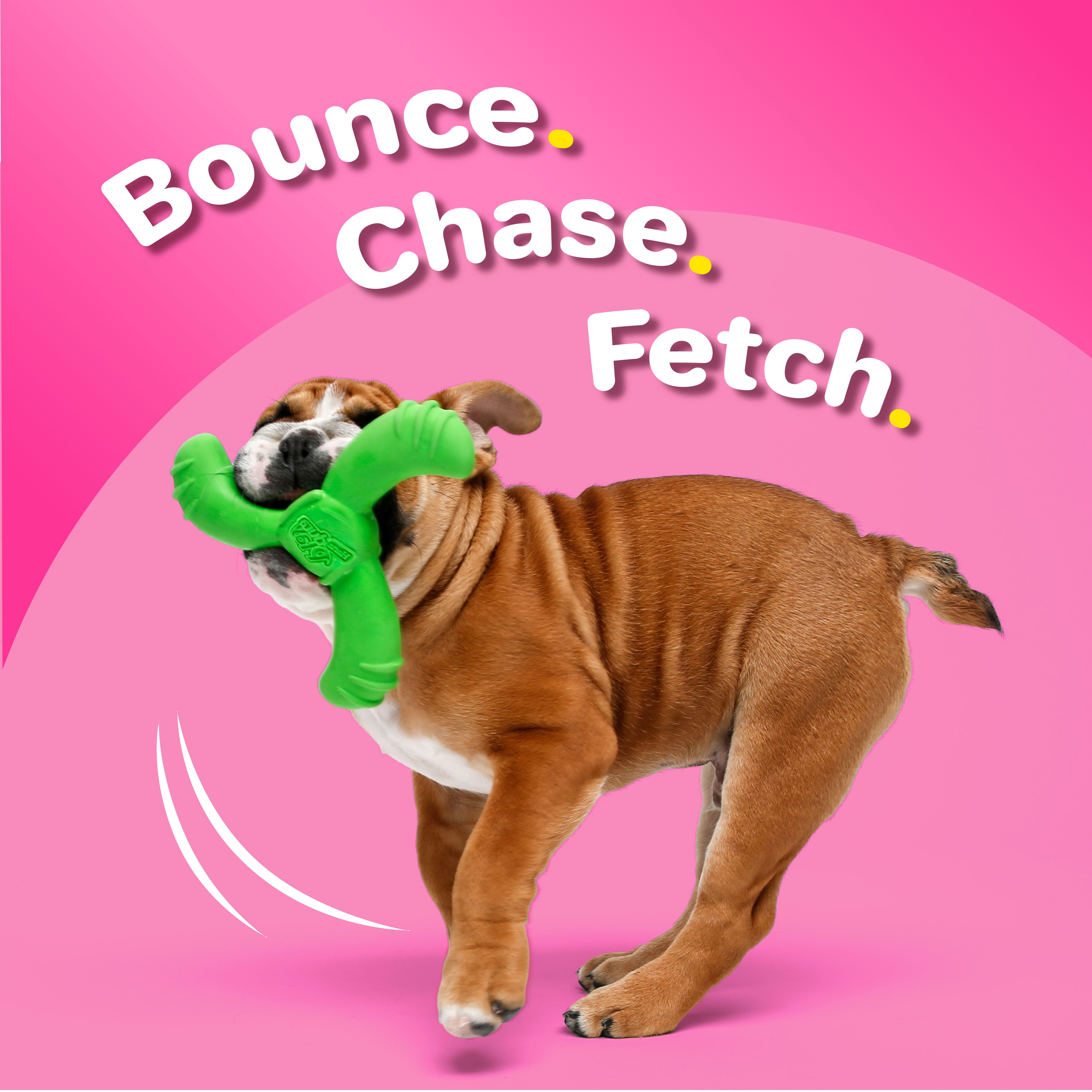 (1 pack) Hartz Dura Play Boomerang Dog Toy, Latex, 1 Count