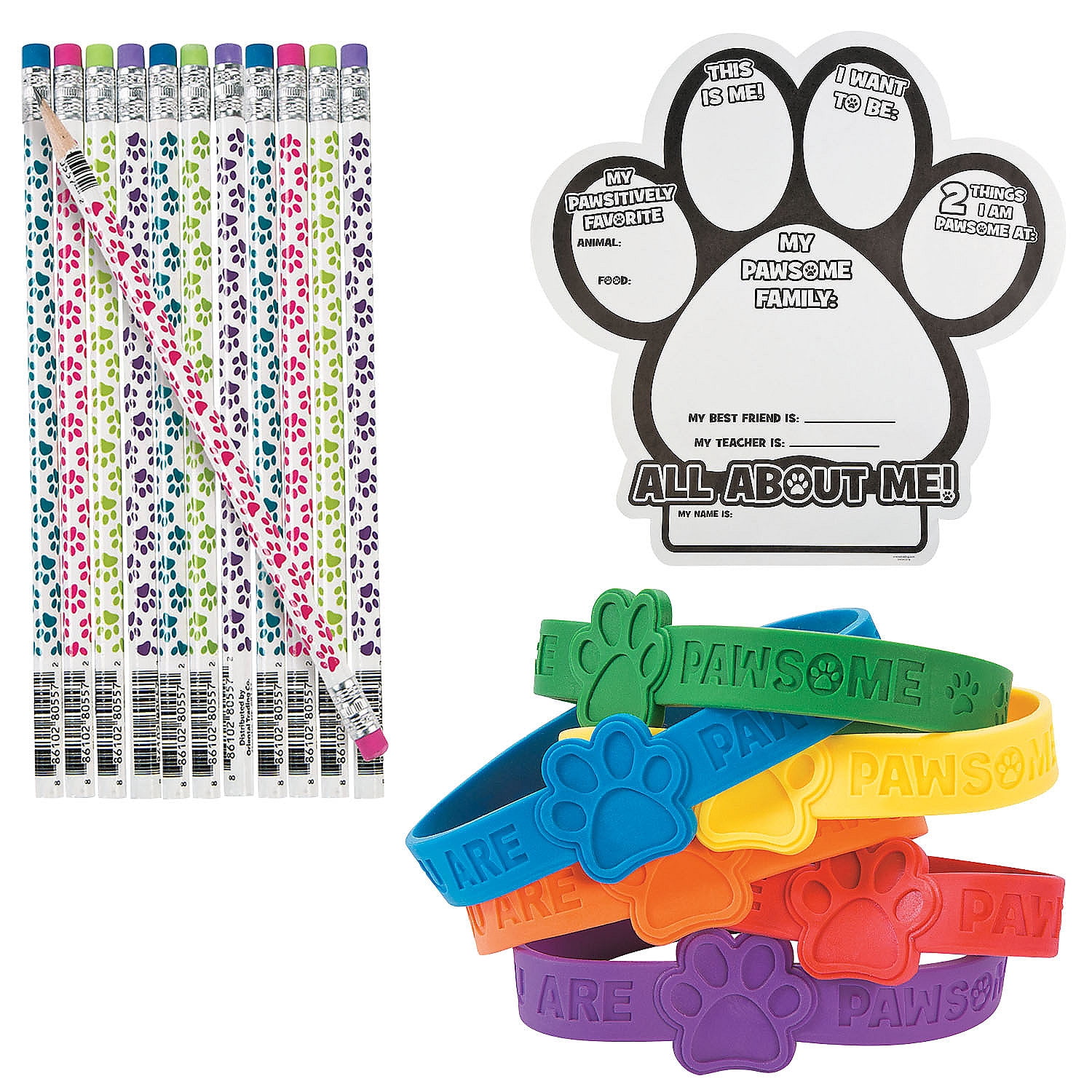 Fun Express Color Your Own Paw Print Stationery Poster Kit – 78 Piece
