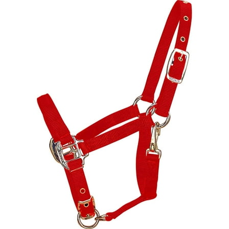 Hamilton Halter Company - Adjustable Chin Halter With Snap- Red Pony - 3DAS PORD