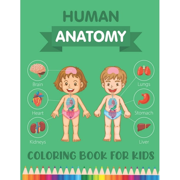 Download Human Anatomy Coloring Book For Kids Over 30 Human Body Parts Coloring Pages Human Physiology Coloring