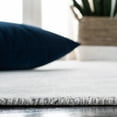 thumbnail image 4 of SAFAVIEH Mirage Edith Distressed Area Rug, Ivory/Silver, 4' x 6', 4 of 7