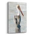 thumbnail image 2 of Epic Art 'Brown Pelican 1' by Stellar Design Studio, Acrylic Glass Wall Art, 16"x24", 2 of 8