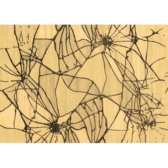 Ahgly Company Indoor Rectangle Abstract Brown Contemporary Area Rugs, 4' x 6'
