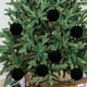 thumbnail image 1 of Adornos navideños, bolas de terciopelo, regalos navideños, 12 unidades de 3,15 pulgadas para árbol de Navidad, baby shower, primera Navidad, fiesta de cumpleaños, bolas de terciopelo flocadas., 1 of 6