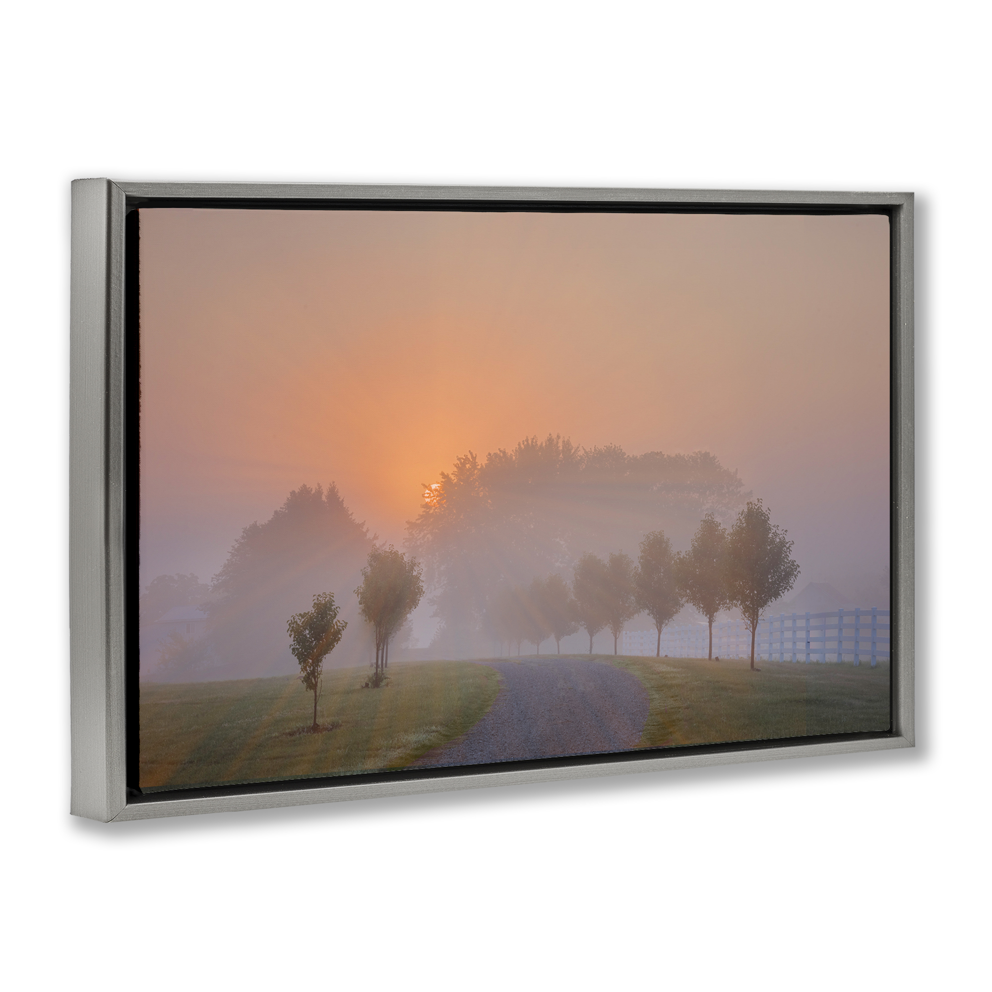 Stupell Industries Grove Path at Sunset Landscape & Nature Photography Gray Floater Framed Canvas Art Print Wall Art, 25 x 17