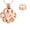 Rose, variant on Stainless Steel Paw Print Urn Pendant Cremation Jewelry for Dog Cat Ashes Urn Necklace Pet Memorial Jewelry Necklace that Opens inside