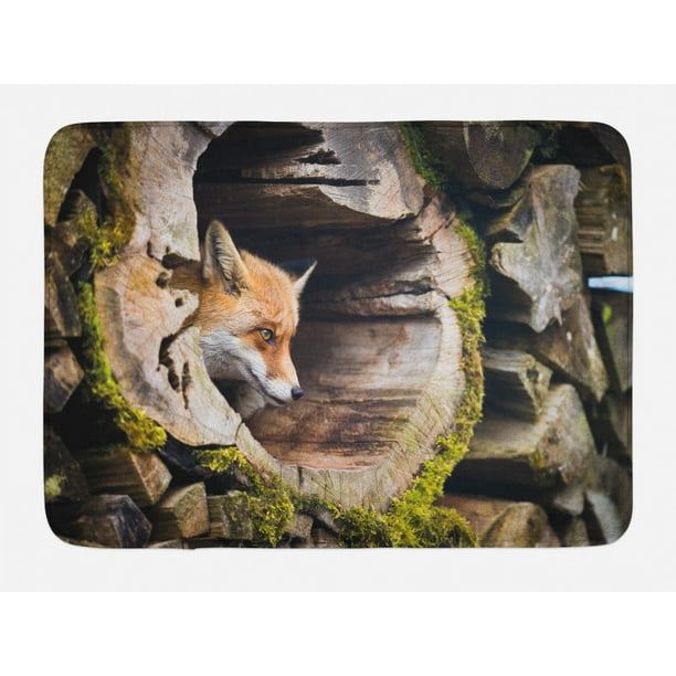 Animal Bath Mat, True Fox Vulpes inside Wood Log Holes Exotic Furry