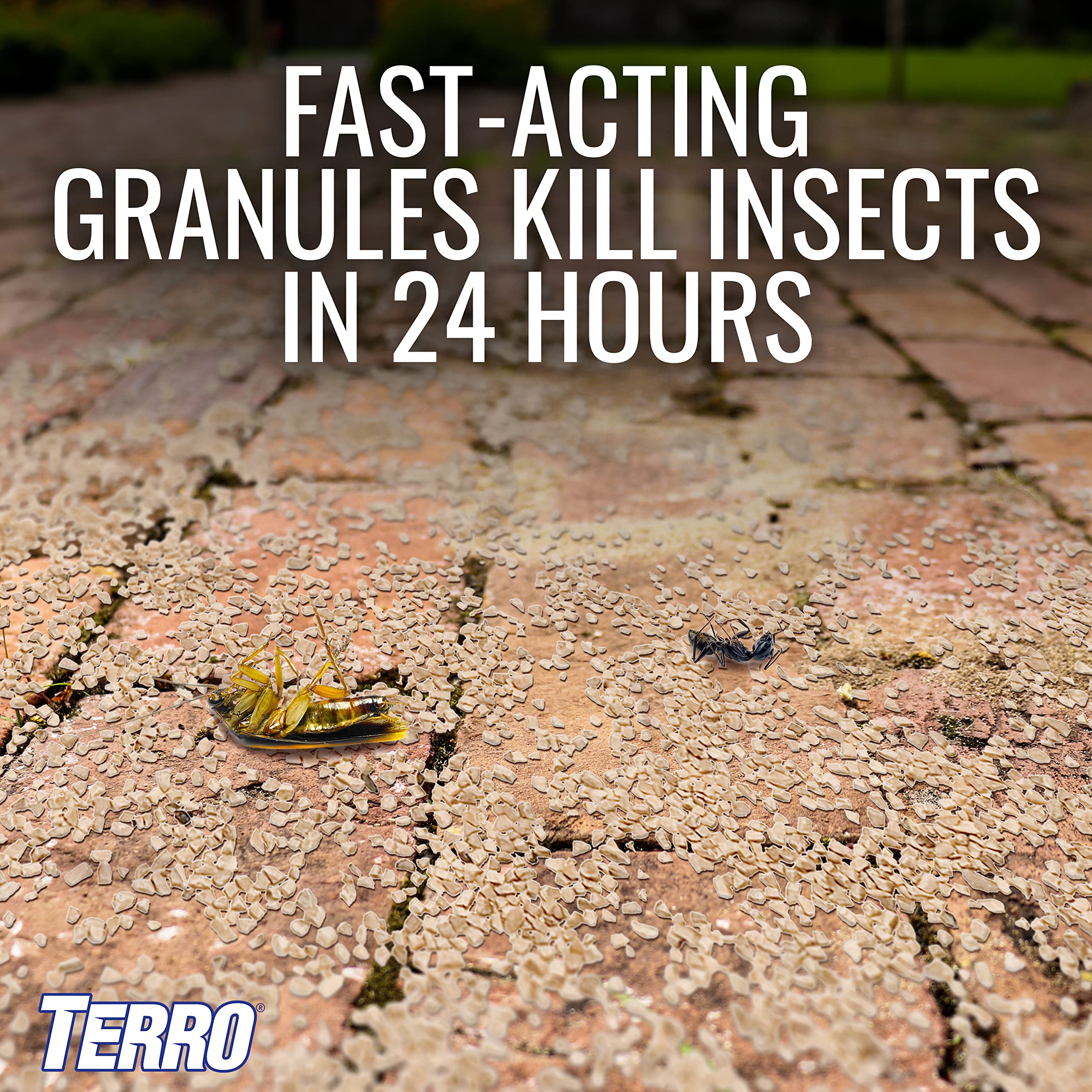 TERRO Ant Killer Plus Multi-Purpose Insect Control, 3 lb photo 6