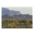 thumbnail image 1 of Saguaro Cutting Board, Arizona Desert Landscape with Cactus Mountain in Spring Evening Wilderness Picture, Decorative Tempered Glass Cutting and Serving Board, Large Size, Brown Green, by Ambesonne, 1 of 1