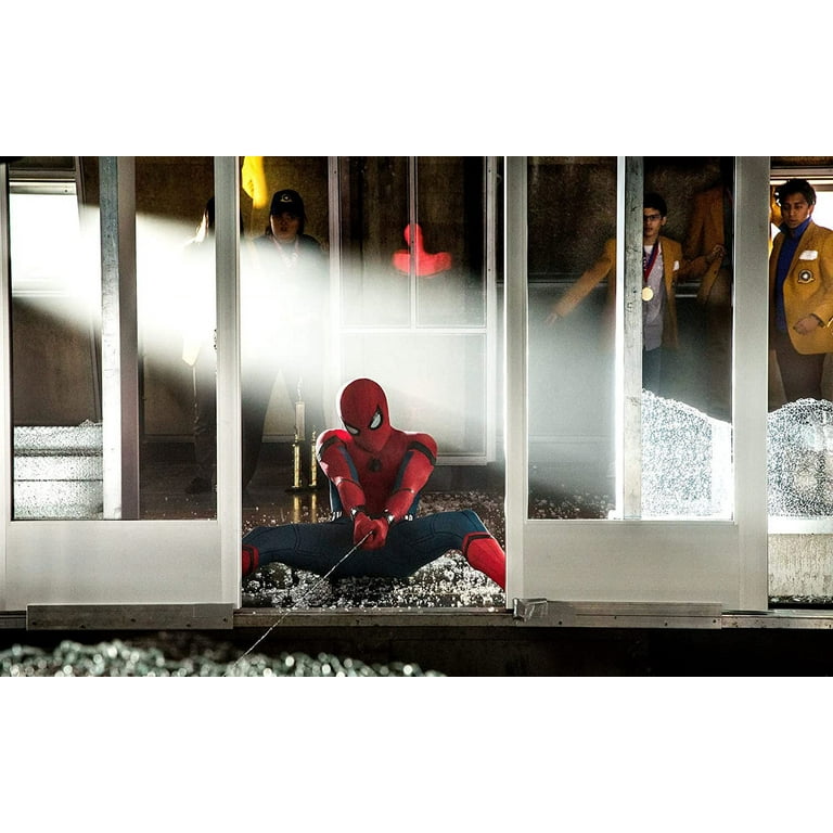  Spider-Man: Homecoming : Tom Holland, Michael Keaton, Robert  Downey Jr., Marisa Tomei, Jon Favreau, Gwyneth Paltrow, Zendaya, Donald  Glover, Jacob Batalon, Laura Harrier, Tony Revolori, Bokeem Woodbine, Tyne  Daly, Abraham Attah