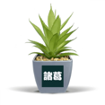 thumbnail image 1 of Zhuge Chinese Surname Character China Fake Pineapple Flower Pot Vase Mini Decor, 1 of 3