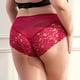 thumbnail image 3 of Gibobby Pantaletas mujer Ropa interior de mujer Bragas de encaje sexy Estiramiento Hipster Calzoncillos Ropa interior Señora Ropa interior(Rojo,G), 3 of 4