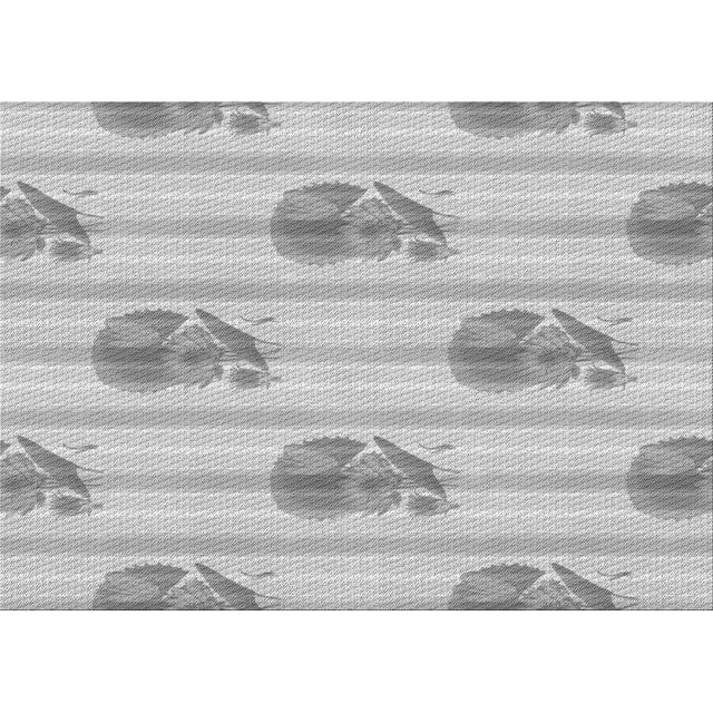 Ahgly Tapis Rectangulaire Lavable en Machine Intérieur Transitionnel Gris Canon, 2 Pieds x 4 Pieds