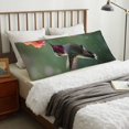 thumbnail image 5 of KLL Ultra Soft Microfiber Body Pillow Cover/Pillowcases 20"x54" with Hidden Zipper Closure-Humming Bird 1, 5 of 5