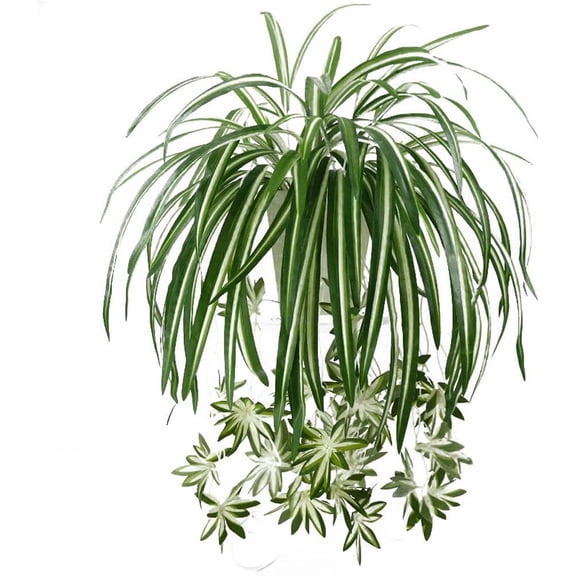 Sunjoy Tech Artificial Chlorophytum Flowers, Faux Flowers Spider Plant Fake Greenery Plant Hanging Basket Ivy Green Leaves Wall Hanging Plants for Home Garden Office Wedding Decoration