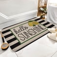 thumbnail image 5 of Hello Sunshine Decor Outdoor Rug Welcome Doormat Front Doormat Summer Decor Seasonal Doormat,Indoor Doormat,Front Back Door Mat 16”x24”, 5 of 7