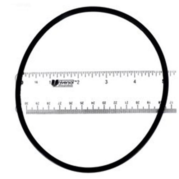 Old Style Chlorinator O-Ring