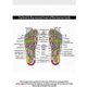 thumbnail image 5 of Foot Massage, Electric Foot Massager, Leg Reshaping Foot Massage, Electric Massage Machine, Promotes Blood Circulation And Relieves Muscle Pain, 5 of 5