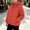 thumbnail image 5 of DJDLJWCJ Boys Quilted Jacket Thicken Warm Long Sleeve Full Zipper Puffer Jacket Comforty Thermal Down Coat with Hooded Orange Size 10, 5 of 7