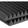 Auralex Acoustics - Studiofoam Wedge - Set of 2 Acoustic Panels - Charcoal