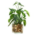 thumbnail image 1 of Laklulu Plantas verdes artificiales en escritorio y frasco de vidrio transparente, 1 of 5