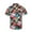 Flowers, variant on Surfing Casual Button Down Shirts Short Sleeve Hawaiian Shirt for Men