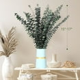 thumbnail image 5 of 40 PCS Dried Preserved Eucalyptus for Shower, 17" Real Natural Fresh Hanging Eucalyptus Stems,Real Eucalyptus Leaves Branches for Vase Filler,Bathroom,Wedding,Dried Flowers Arrangement Decor, 5 of 9