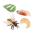 thumbnail image 4 of Juego de crecimiento de insectos para niños CUTICAT caracol de juguete, 4 of 8