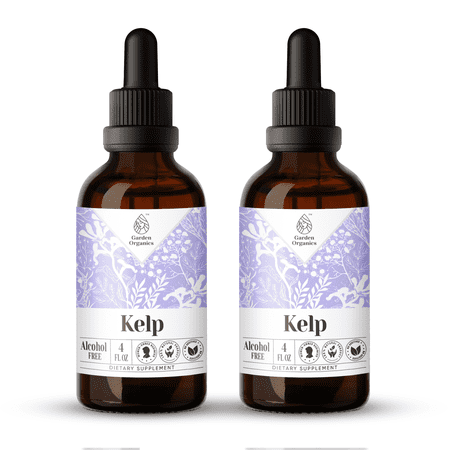 Kelp Extract, Natural Herbal Supplement for Thyroid Support, Kelp (Ascophyllum nodosum) Dried Plant Tincture, Alcohol-Free, Drops 2x4 oz