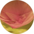 thumbnail image 1 of Ahgly Company Tapis d'Intérieur Rond Lavable en Machine Orange Transitionnel, 3 Pieds Rond, 1 of 7