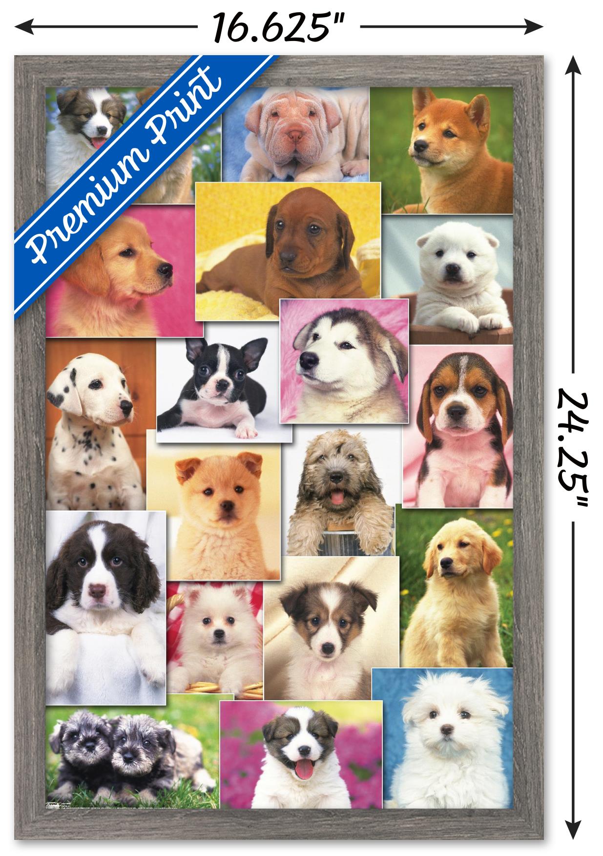 Keith Kimberlin - Puppies Grid Wall Poster, 14.725" x 22.375", Framed