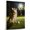 Alaskan Klee Kai, variant on Chinese Vintage Dog Golf Canvas – Artistic Sports, Chinese Dog with Golf Stretched Canvas Size 8x12 Wall Print for Bedroom, Living Room, Office