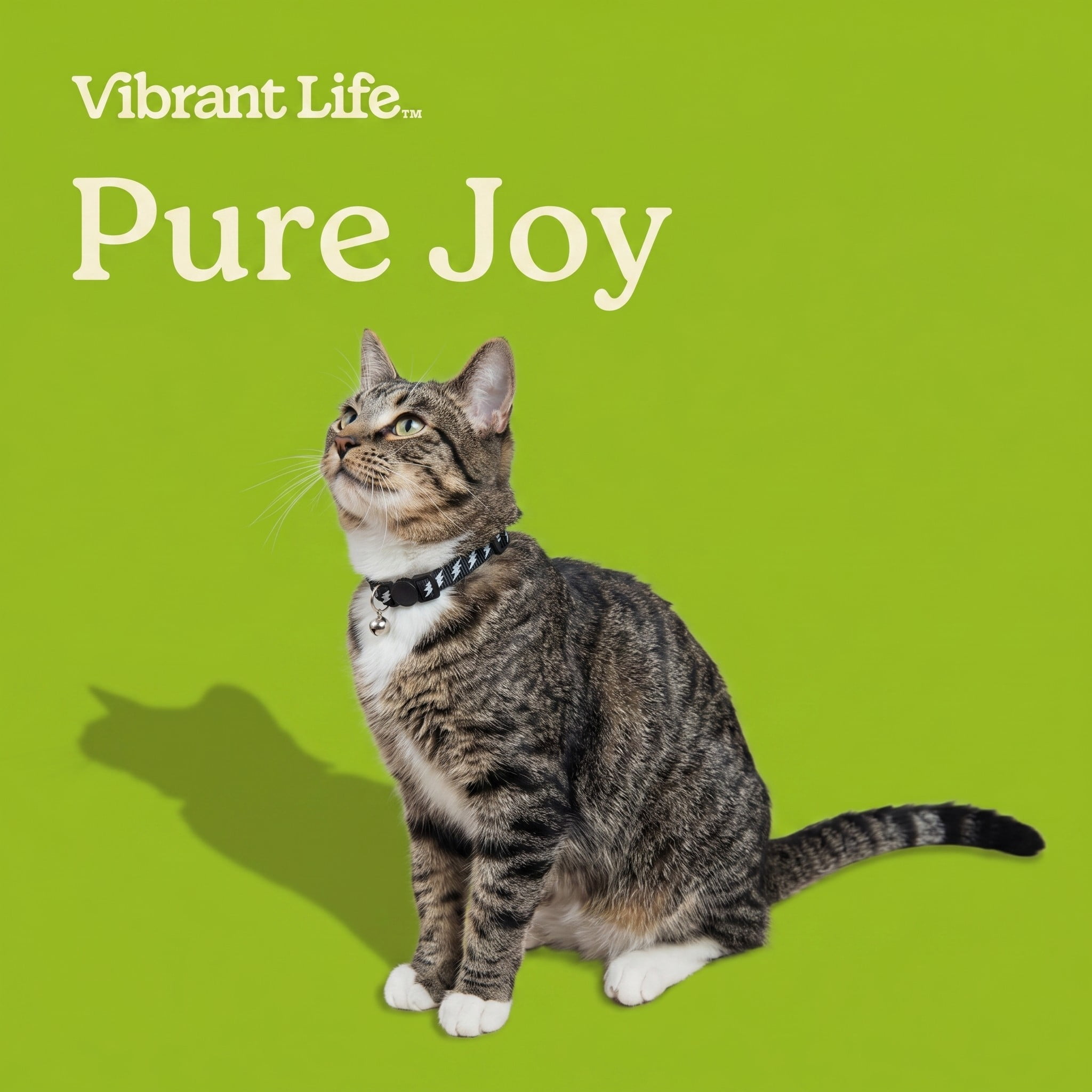Vibrant Life Reflective Break-Away Adjustable Cat Collar, Black and Silver Lightning Bolt, One Size